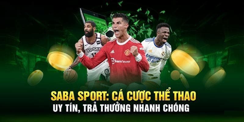 Sân chơi Saba Sport được rất nhiều khách hàng tin chọn